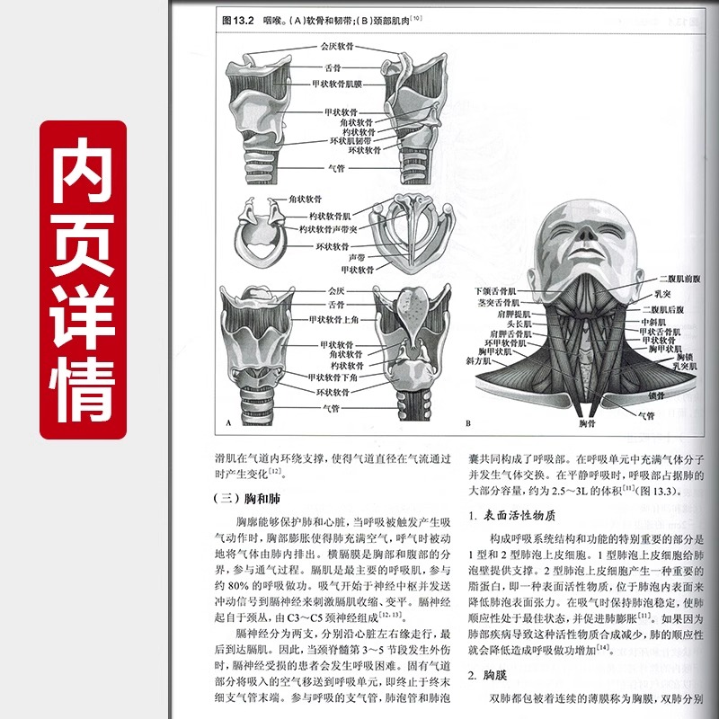 ACCCN重症护理呼吸心脏换瓣术后移植神经外科脑卒中脑血管肾脏休克急症器官捐献儿科妊娠护理实践人民卫生出版社医学护理学书籍-图2