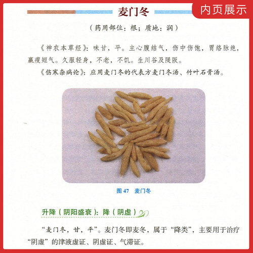 正版3本 仲景阴阳脉法+神农升降药法+经方脉证图解 陈建国 中国中医药出版社中医临床基础理论用药中药学书籍中医诊断学脉诊书经方 - 图3