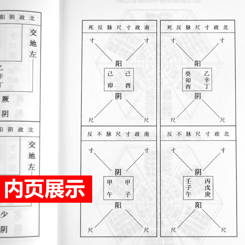 正版 注解伤寒论+ 金匮要略方论 人卫梅花版 原著张仲景伤寒杂病论晋王叔和整理金成无己注解中医四大经典名著之一 人民卫生出版社 - 图1