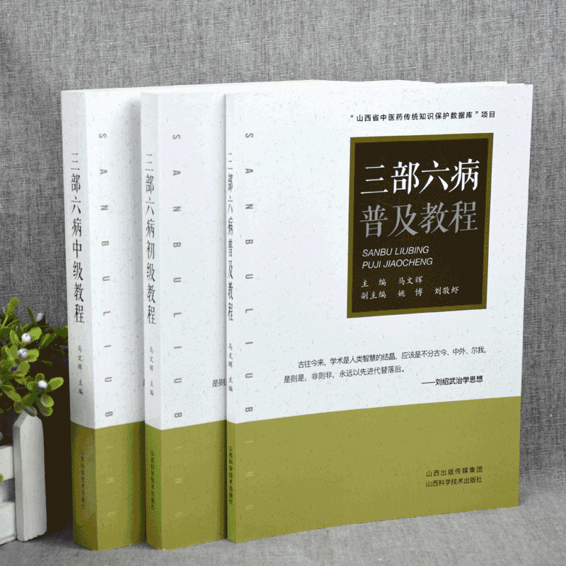 正版3本 刘绍武三部六病普及教程+初级教程+中级教程 马文辉主编 山西科学技术出版社中医临床书籍参考书可搭精义带教录伤寒论条辨 - 图1