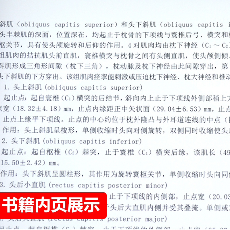 正版2册针刀应用解剖与临床上下卷册李石良中医针刀医学书籍应用临床解剖学书籍高清彩图线装书籍 颈项颜面肩肘教程彩图彩色图谱 - 图2