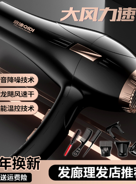 德国家用电吹风机负离子静音