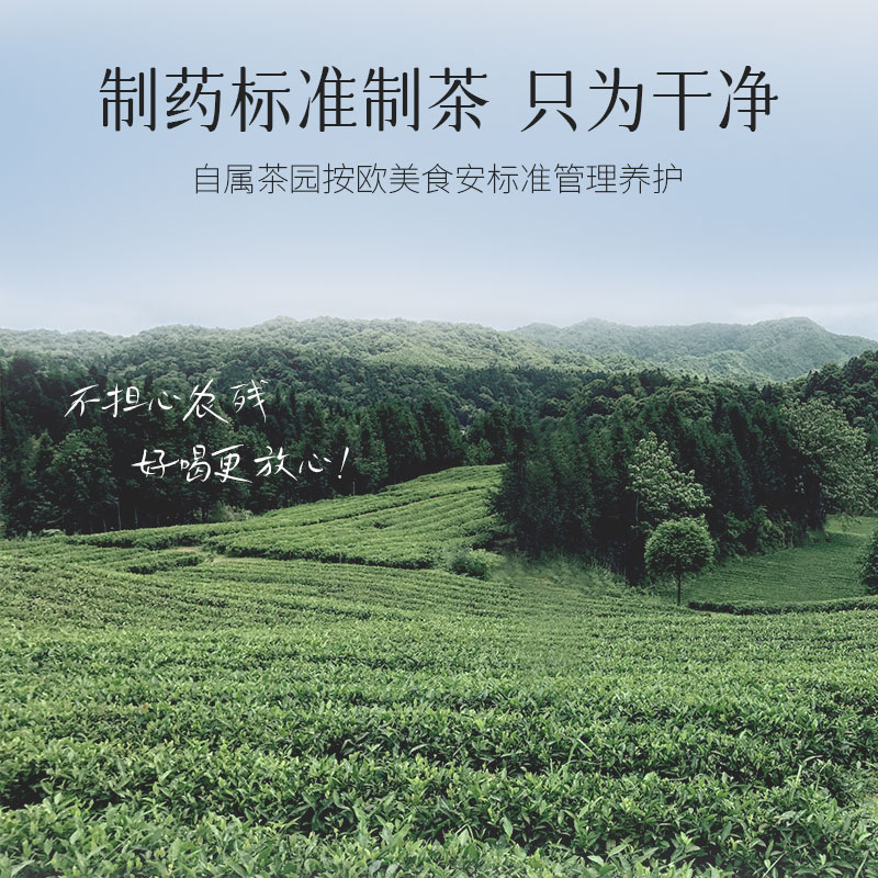 【冷泡茶】2024年新茶林恩冷萃4风味红茶绿茶花茶白牡丹袋泡茶8包