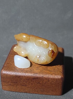 C032002新疆的猫27克脂感外溢老熟油腻工艺精巧的黄沁料龙龟