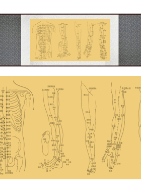 中医十二经络图丝绸画 精品人物穴位挂图 养生文化国画卷轴画定制