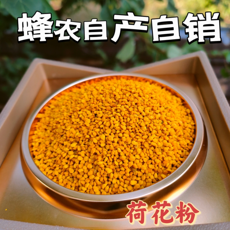 新鲜荷花粉 花粉纯天然农家蜂花粉 正品破壁 500g食用 新鲜莲花粉