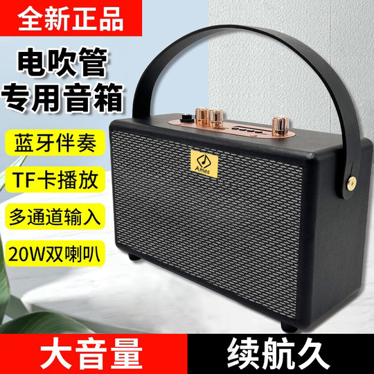 新款电吹管专用音箱户外演出家用小巧型便携式可充电蓝牙乐器音响