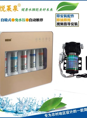 农村开关过滤器换芯自吸式净水机