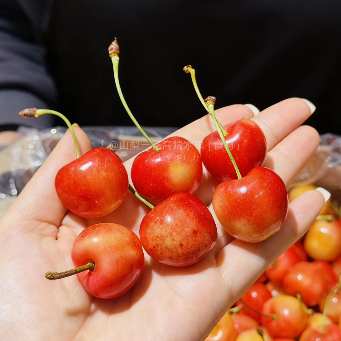 进口智利雷尼尔黄金车厘子新鲜水果4JJJJ大樱桃2斤礼盒顺丰包邮,淘宝优惠券,粉丝福利购,淘宝优惠卷