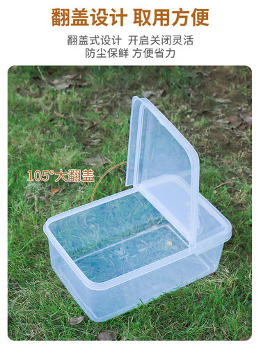 透明翻盖盒水果食材保鲜盒食品级商用半翻盖展示盒塑料加厚收纳盒 - 图0