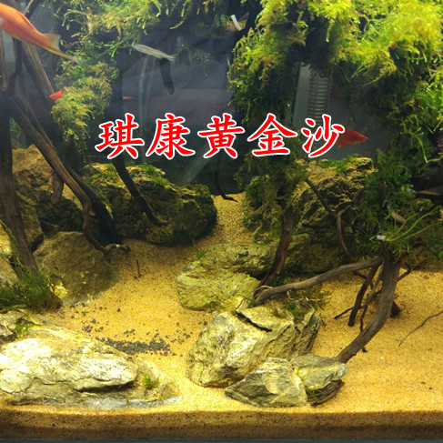 黄金沙专用斑马狗头鱼底沙沙鼠鱼底砂鱼缸造景河豚黄化妆沙-图2