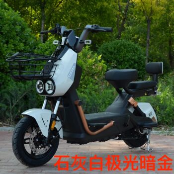 Beijing Xinri Electric Vehicle Xingrui 48V New National Standard National Battery Vehicle Adult Transportation Small New National Standard Electric Vehicle