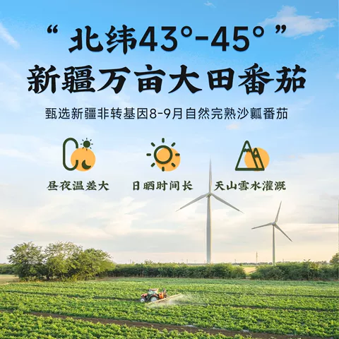 莲花番茄酱120g袋 番茄沙司0添加新疆蕃茄酱家用意面调味酱旗舰店 图片 4
