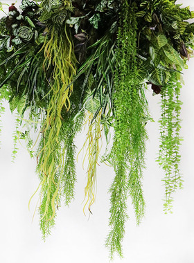 仿真绿植吊顶装饰吊篮壁挂遮挡花艺藤蔓藤条蕨叶吊饰垂挂餐厅绿植