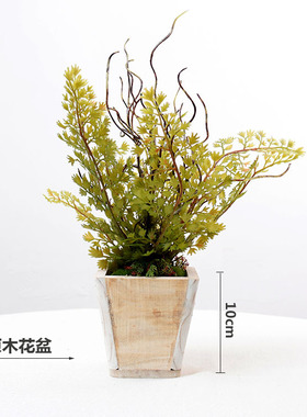 盆栽点缀样板房阳台摆放仿真植物