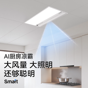 奥普SMART智能人感凉霸吹风照明换气除菌集成吊顶厨房冷霸LC301S