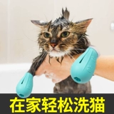 Кошачья крышка для ног против подчеркивающей кошачьи коття