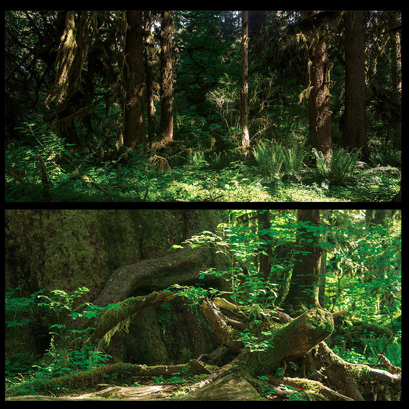 鱼缸贴纸背景森林绿色树木水族箱造景壁纸贴画高清定制正胶外贴,淘宝优惠券,粉丝福利购,淘宝优惠卷