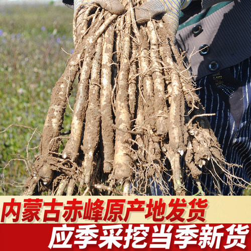 桔梗中药材500g 桔梗干新货 桔梗茶内蒙桔梗根佶梗干桔梗桔梗片 - 图2