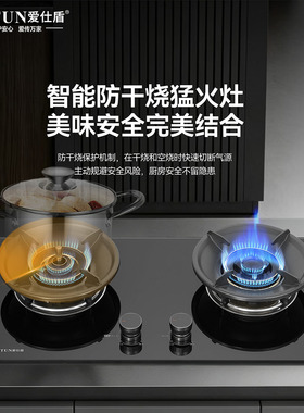 爱仕盾防干烧燃气灶一级能效全铜火盖5.2kw大火力12T家用猛火双灶