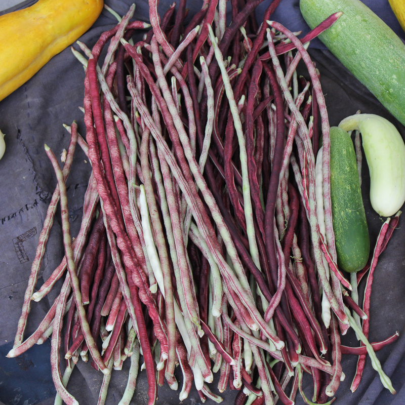 自种长豆角天然日晒长豇豆干农家自制新货500g自家做的烧肉嫩好吃 - 图1