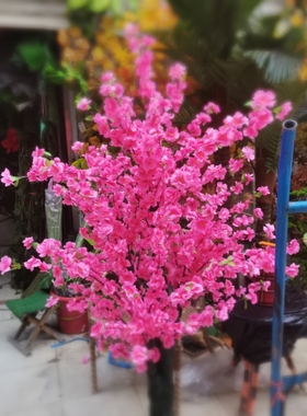 仿真樱花树桃花树许愿树室内装饰大型假桃树商场酒店婚庆摆设造景