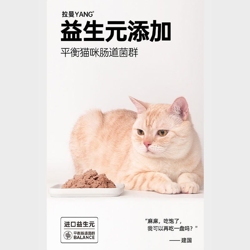 阿飞和巴弟全价猫罐头170g375g猫咪ican主食罐成幼猫零食营养增肥 - 图2