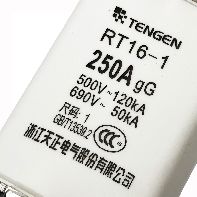 TENGEN天正电气 RT16-123 NT1 熔断器250A200A160A底座熔芯 - 图0