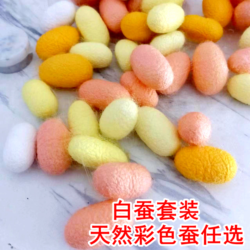 蚕宝宝套装现摘新鲜桑叶大小蚕嫩桑叶鲜嫩蚕宝宝蚕卵饲料学生养蚕 - 图1