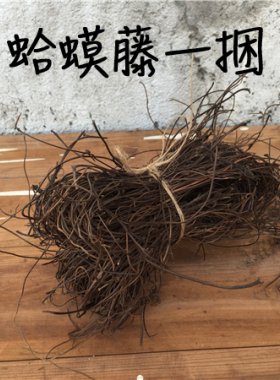 蛤蟆藤DIY微景观配景造景店铺橱窗装饰摆件 田园森系拍摄拍图道具