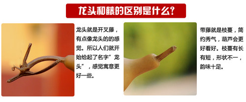 天然葫芦中号葫芦大葫芦摆件亚腰小葫芦玩具平安葫芦 - 图2