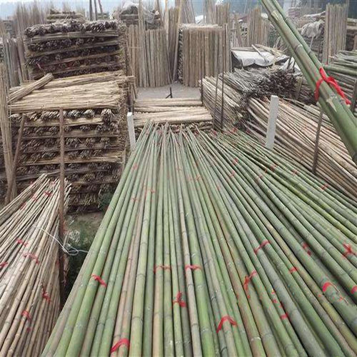 竹竿竹杆菜园搭架彩旗竹杆爬藤竹竿豆角架黄瓜架菜架 - 图2