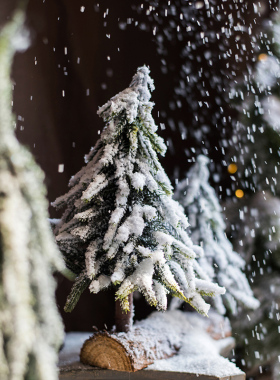 掬涵逼真圣诞装饰道具橱窗陈列