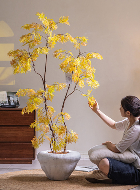 掬涵仿真绿植盆景福禄桐客厅室内大型仿生植物摆件卧室造景侘寂风