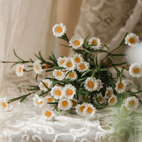 Сельская пленка симуляция цветочный цветочный ромаш