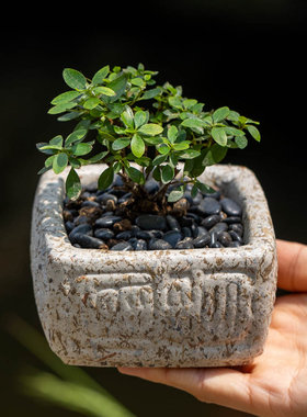 掬涵仿石禅意山水花盆摆件