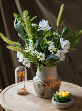 掬涵悦游设计师花束装饰花艺雏菊