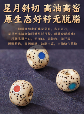 星月菩提手串男女文玩菩提籽手链