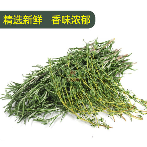 迷迭香百里香新鲜食用香草西餐煎牛排用蛋糕装饰组合香料蔬菜包邮 - 图1