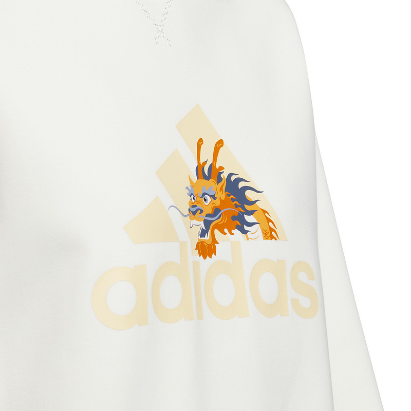  胜道运动卫衣/套头衫