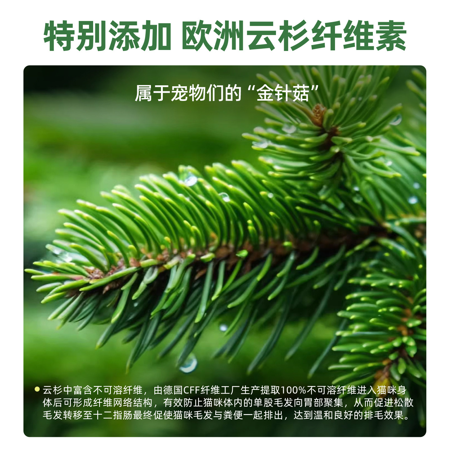 毛球克星猫草磨牙排毛化毛球片猫咪鱼油化毛膏云杉冻干增肥猫零食,淘宝优惠券,粉丝福利购,淘宝优惠卷