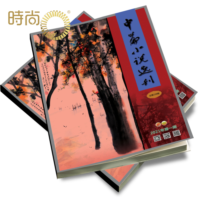 中篇小说选刊杂志2024年全年杂志订阅双月刊6月起订一年共8期（包含2期增刊）大型文学杂志精选全国中篇荟萃文苑中篇精华文学 - 图0