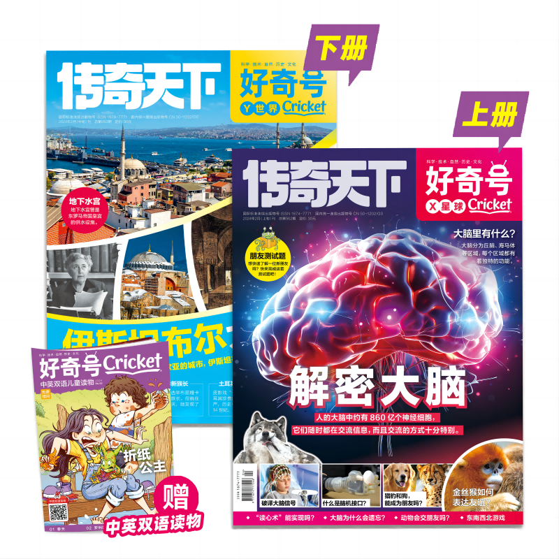 现货好奇号传奇天下杂志2024年4月最新期刊【怎样拍电影+蔬菜起源单月刊7到15岁青少年通识百科读物课外提高认知见识董老师推荐-图0