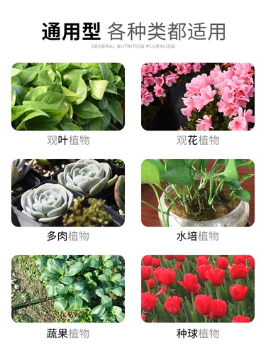 Растение Универсальное питательное жидкость Гидропонные цветы Зеленые, сочные зеленые листовые удобрения.