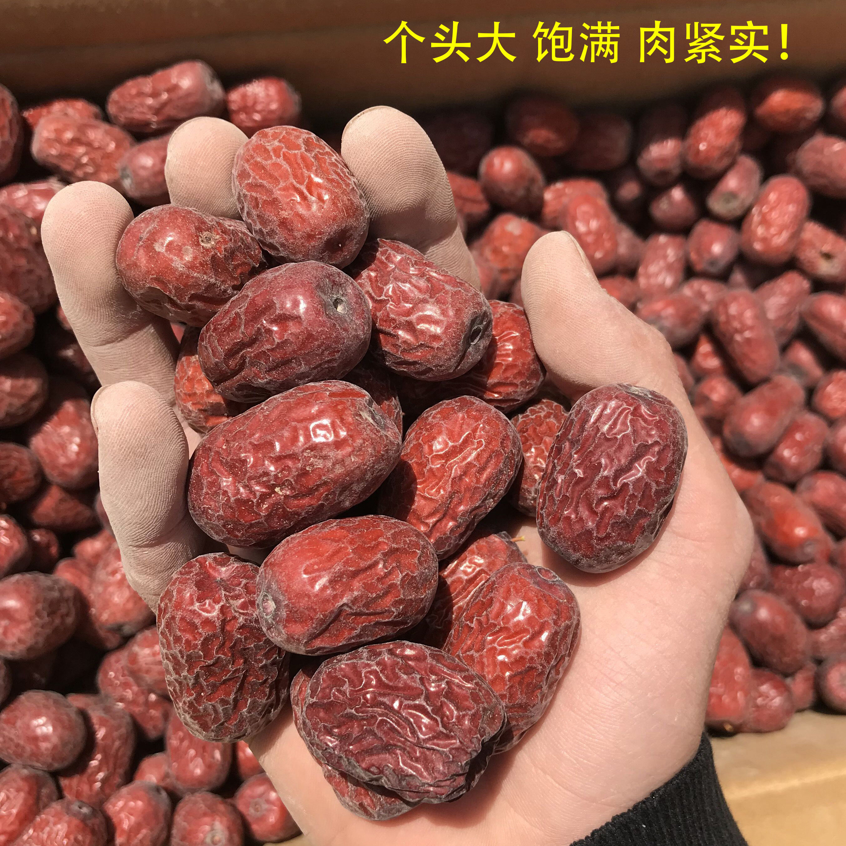 小灰枣图片,灰枣图片_大山谷图库