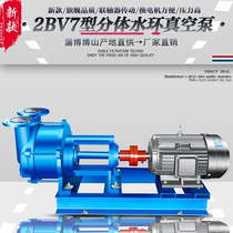 Boshan 2BV Water Ring Vacuum Pump Split 711235 Pump Head Electric Motor Cycle Manufacturer Industrial Suction