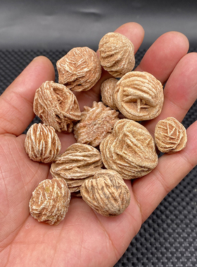 天然摩洛哥沙漠玫瑰观赏奇石水晶原石儿童矿物标本地质教学标本