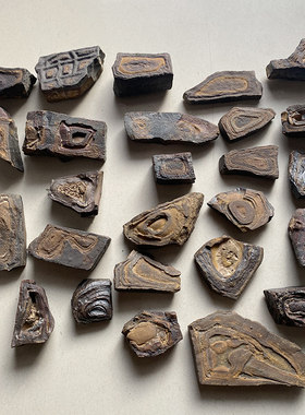 砂岩化石天然奇石造型石图腾化石