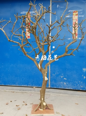 定制造型仿真实木本色枯树干树枝