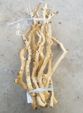 纯天然新款西欧风情龙骨杆漂白干树枝白树干枯树花艺橱窗插花装饰